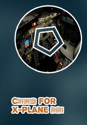 X plane 11 pc